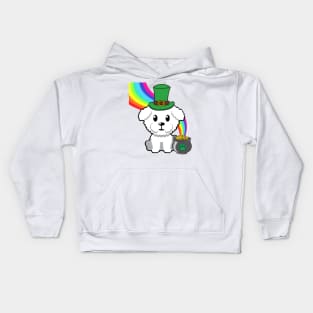 Cute furry dog is a leprechaun Kids Hoodie